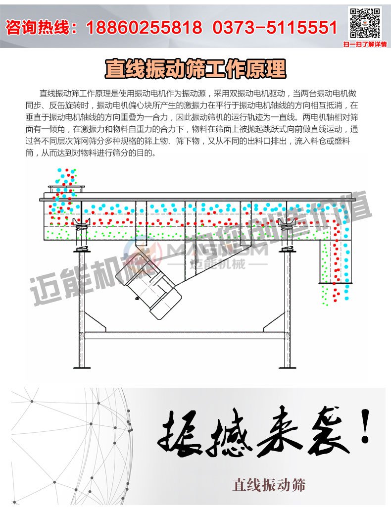 咖啡粉直線振動分級篩